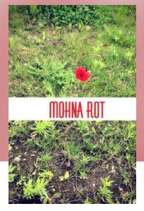 mohna